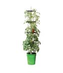 Self Watering Grow Pot Tower - Green