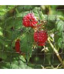 Fleximesh Protection Netting - 2m Wide - Per Mtr