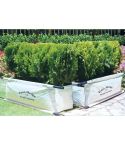 Handy Hedge Planter Bags