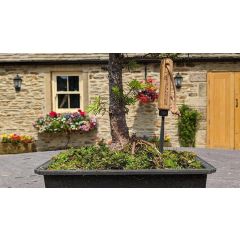 Krumpholz Tools - Bonsai Spike