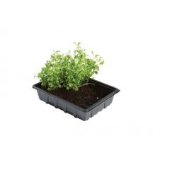 Professional Half Seed Trays
