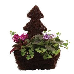 Tree Shape Salim Planter