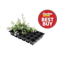 Professional 24 Cell Inserts