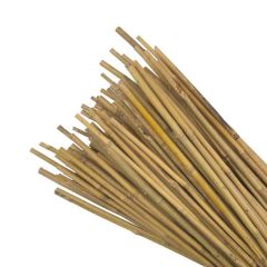 Bamboo Plant Support Canes | 3' to 6'