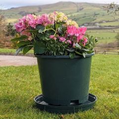 Bronte Maxipot Plant Pot & Saucer - Green - 15L