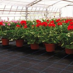 Premium Ground Cover - Black - 4m Wide - Per Mtr