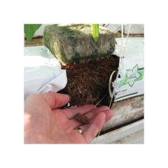 Jiffy Grow Bag - Premium Mix