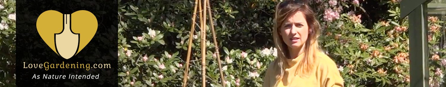 "How To" Create a Cane Plant Support with Katie Rushworth