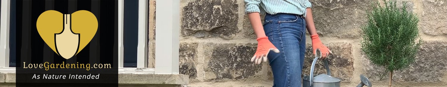 "How To" Plant a Contemporary Planter With Katie Rushworth