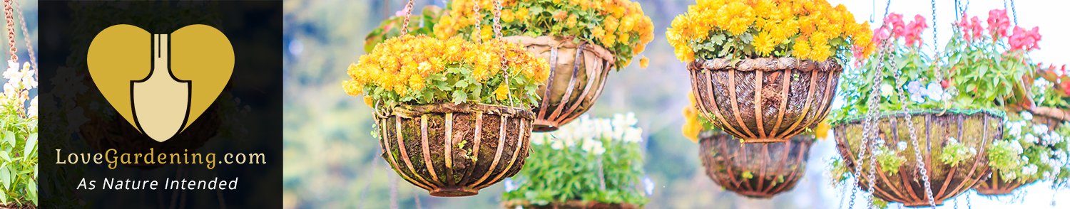 "How To" Create the Perfect Hanging Basket with Katie Rushworth