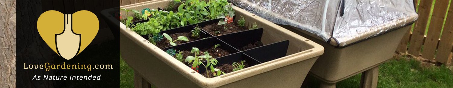 Introducing the Self Watering Raised Garden with Katie Rushworth