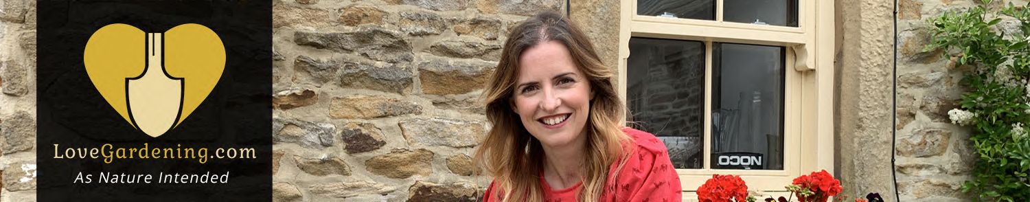 "How To" Plant An Alpine Planter With Katie Rushworth