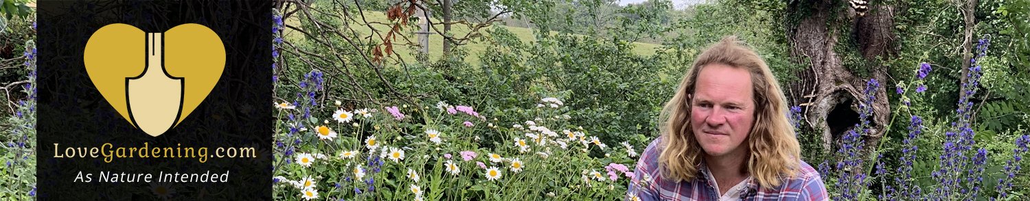 Chris Myers Krumpholz Junior Tools Range