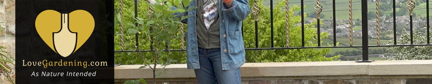 "How To" Plant An Edible Planter With Katie Rushworth