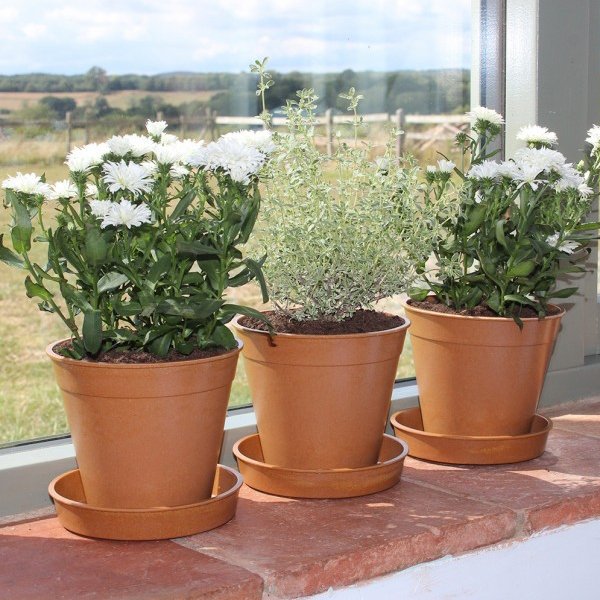 Eco Friendly Pots