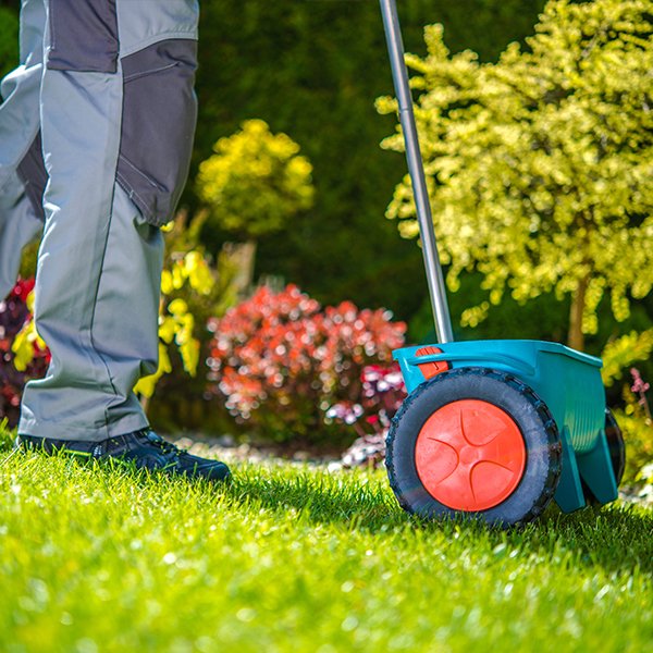 Lawn Seed & Feed