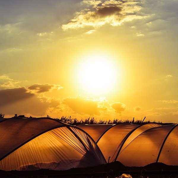 Polytunnel Accessories