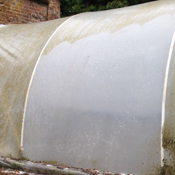 Polytunnel Cleaning