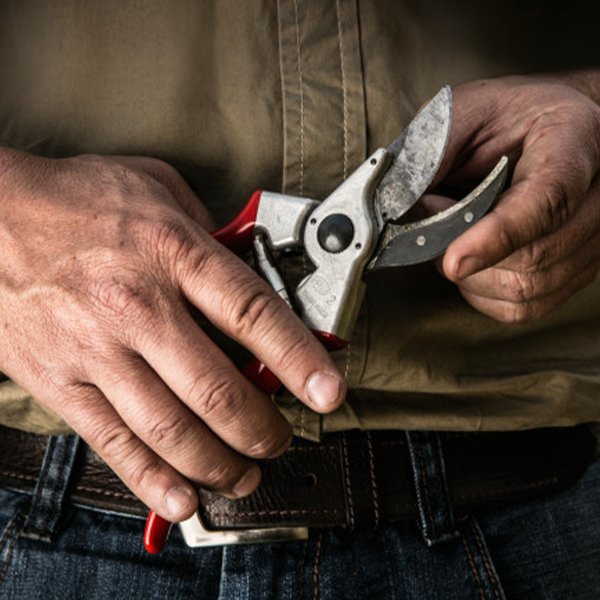 Pruners & Secateurs
