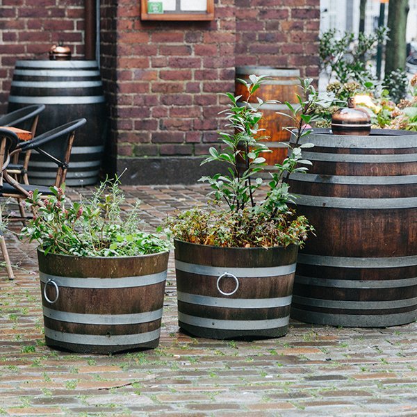 Planter Ideas