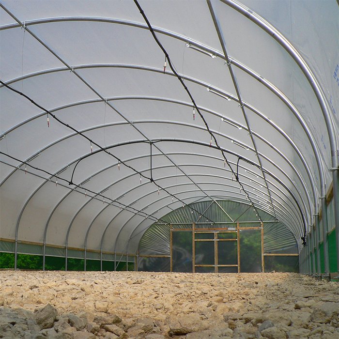 Polytunnel Structures