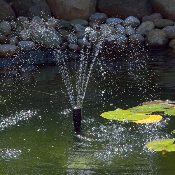 Ponds