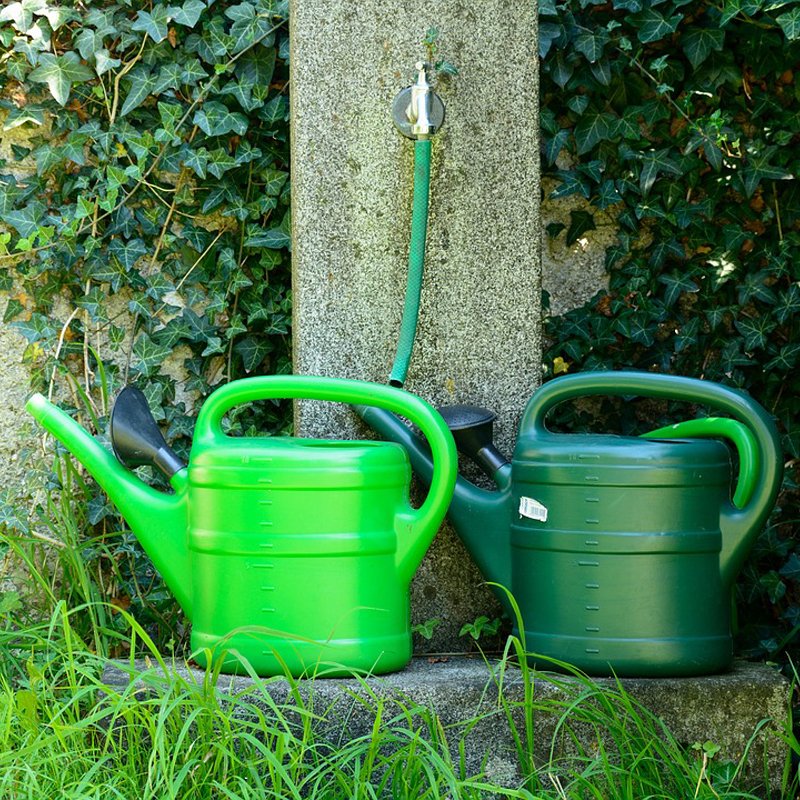 Watering Cans